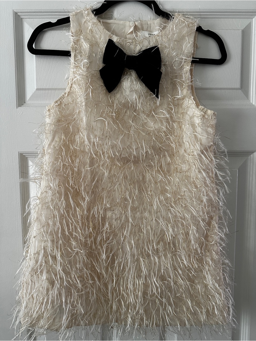 Feathered Dress